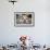 Very Tired English Bulldog-Matt Freedman-Framed Photographic Print displayed on a wall