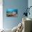 Very Varied Coral Reef, Florida Islands, the Solomon Islands-Reinhard Dirscherl-Stretched Canvas displayed on a wall