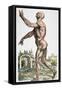 Vesalius: Muscles 02, 1543-Andreas Vesalius-Framed Stretched Canvas