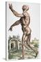 Vesalius: Muscles 02, 1543-Andreas Vesalius-Stretched Canvas