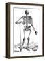 Vesalius: Skeletal System-null-Framed Giclee Print