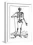 Vesalius: Skeletal System-null-Framed Giclee Print