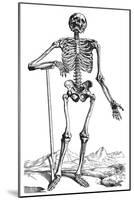 Vesalius: Skeletal System-null-Mounted Giclee Print
