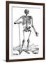 Vesalius: Skeletal System-null-Framed Giclee Print
