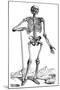 Vesalius: Skeletal System-null-Mounted Giclee Print