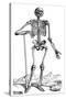 Vesalius: Skeletal System-null-Stretched Canvas
