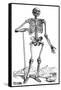 Vesalius: Skeletal System-null-Framed Stretched Canvas