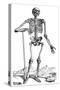 Vesalius: Skeletal System-null-Stretched Canvas