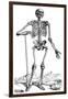 Vesalius: Skeletal System-null-Framed Giclee Print