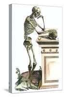 Vesalius: Skeleton, 1543-Andreas Vesalius-Stretched Canvas
