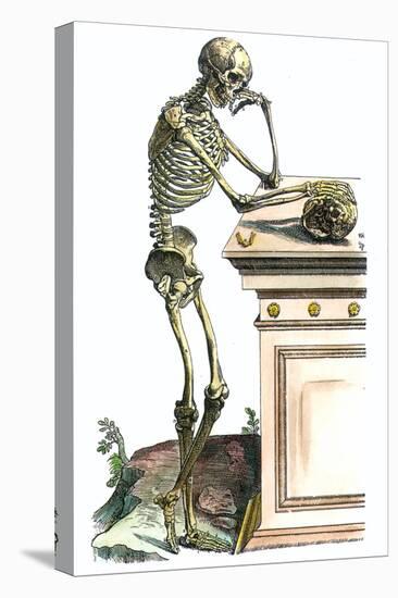 Vesalius: Skeleton, 1543-Andreas Vesalius-Stretched Canvas