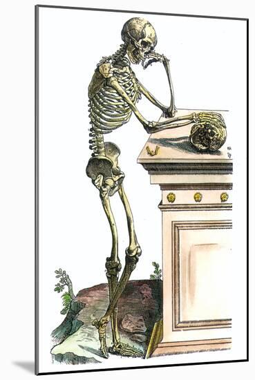 Vesalius: Skeleton, 1543-Andreas Vesalius-Mounted Giclee Print