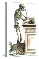 Vesalius: Skeleton, 1543-Andreas Vesalius-Stretched Canvas