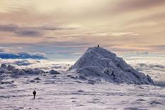 follow the leader-Veselin Malinov-Photographic Print