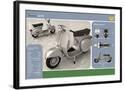 Chelsea Black
