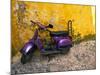 Vespa and Yellow Wall in Old Town, Rhodes, Greece-Tom Haseltine-Mounted Photographic Print