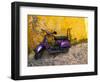 Vespa and Yellow Wall in Old Town, Rhodes, Greece-Tom Haseltine-Framed Photographic Print