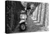 Vespa In Alley Amalfi, Italy Poster-null-Stretched Canvas