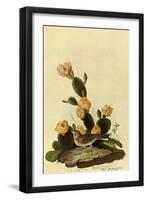 Vesper Sparrow-John James Audubon-Framed Premium Giclee Print