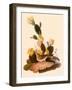 Vesper Sparrow-null-Framed Giclee Print