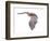 Vespertiliavus Bat-null-Framed Photographic Print