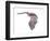 Vespertiliavus Bat-null-Framed Photographic Print