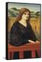 Vespertina Quies-Edward Burne-Jones-Framed Stretched Canvas