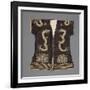 Veste à manches courtes-null-Framed Giclee Print