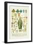 Vestments and Headwear-null-Framed Art Print