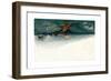 Vesuvius in 1872-null-Framed Giclee Print