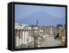 Vesuvius Volcano from Ruins of Forum Buildings in Roman Town, Pompeii, Campania, Italy-Tony Waltham-Framed Stretched Canvas