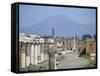 Vesuvius Volcano from Ruins of Forum Buildings in Roman Town, Pompeii, Campania, Italy-Tony Waltham-Framed Stretched Canvas