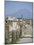 Vesuvius Volcano from Ruins of Forum Buildings in Roman Town, Pompeii, Campania, Italy-Tony Waltham-Mounted Photographic Print