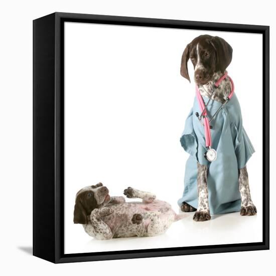 Veterinary Care - German Shorthaired Pointer Dressed as a Veterinarian Looking after Sick Puppy-Willee Cole-Framed Stretched Canvas