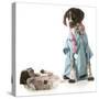 Veterinary Care - German Shorthaired Pointer Dressed as a Veterinarian Looking after Sick Puppy-Willee Cole-Stretched Canvas