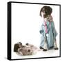 Veterinary Care - German Shorthaired Pointer Dressed as a Veterinarian Looking after Sick Puppy-Willee Cole-Framed Stretched Canvas