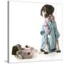 Veterinary Care - German Shorthaired Pointer Dressed as a Veterinarian Looking after Sick Puppy-Willee Cole-Stretched Canvas