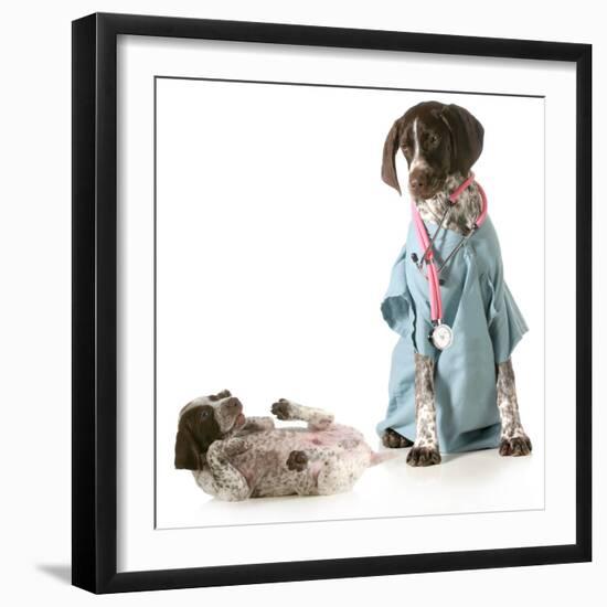 Veterinary Care - German Shorthaired Pointer Dressed as a Veterinarian Looking after Sick Puppy-Willee Cole-Framed Premium Photographic Print