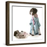 Veterinary Care - German Shorthaired Pointer Dressed as a Veterinarian Looking after Sick Puppy-Willee Cole-Framed Photographic Print