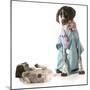 Veterinary Care - German Shorthaired Pointer Dressed as a Veterinarian Looking after Sick Puppy-Willee Cole-Mounted Photographic Print