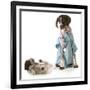 Veterinary Care - German Shorthaired Pointer Dressed as a Veterinarian Looking after Sick Puppy-Willee Cole-Framed Photographic Print