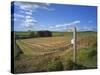 Vew from the High Peak Trail Cycleway and Footpath Along Disused Railway Line, Peak District Nation-David Hughes-Stretched Canvas