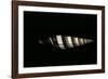 Vexillum Regina Filiareginae-Paul Starosta-Framed Photographic Print