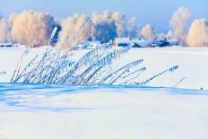 Winter Landscape-vhpfoto-Framed Photographic Print