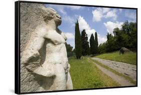 Via Appia-Stefano Amantini-Framed Stretched Canvas