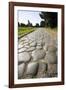 Via Appia-Stefano Amantini-Framed Photographic Print