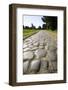 Via Appia-Stefano Amantini-Framed Photographic Print