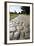 Via Appia-Stefano Amantini-Framed Photographic Print