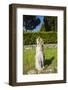 Via Appia-Stefano Amantini-Framed Photographic Print