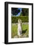 Via Appia-Stefano Amantini-Framed Photographic Print